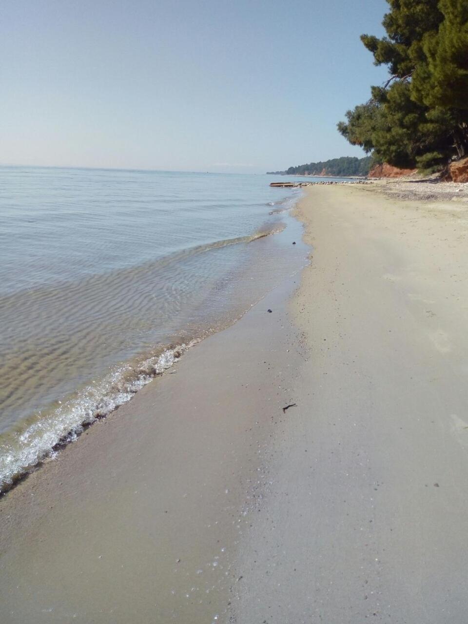 Sithonia Alekos Luxury Experience Apartment Metamorfosi  Bagian luar foto